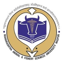 WhatsApp Image 2025-09-17 at 15.22.40